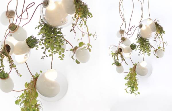 pendant-light-plant-terrarium-indoor-garden-9.