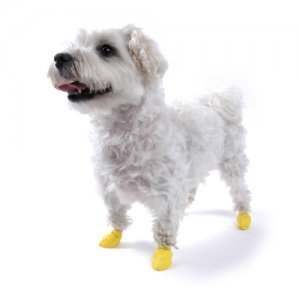 pawz-disposable-dog-booties-12pk-xxsmall-yellow-1.