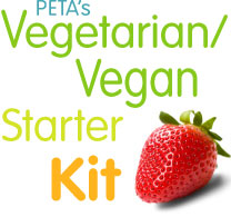 FREE-VEGAN-KIT.