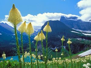 Glacier-National-Park.